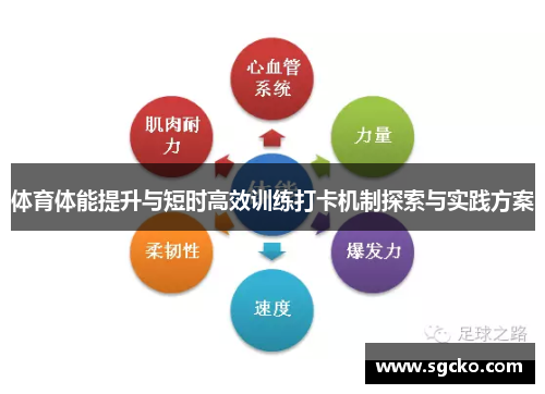体育体能提升与短时高效训练打卡机制探索与实践方案